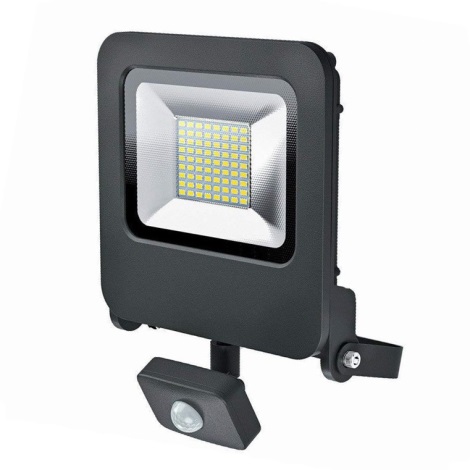 Osram - projecteur LED extérieur avec détecteur ENDURA LED/50W/240V IP44