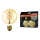 Pack de 2 ampoules LED dimmables à filament vintage E27/4,8W/230V 2200K - Osram