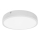 Palnas 61003559 - LED Badkamer plafondlamp EGON LED/16W/230V IP44 4000K