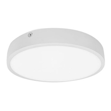 Palnas 61003580 - LED Badkamer plafondlamp EGON LED/30W/230V IP44 3000K