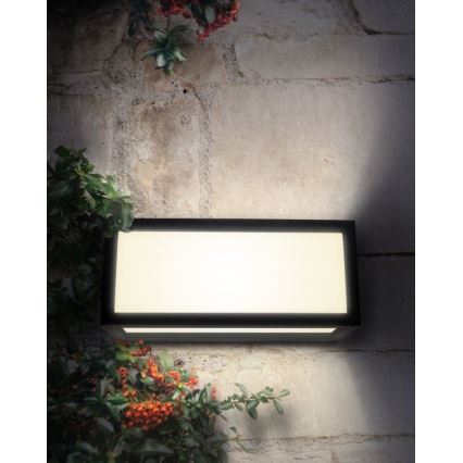 Palnas 66001388 - Wandlamp voor buiten TONY 1x E27 / 18W / 230V IP54
