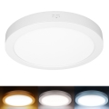 Panneau LED 2 en 1 appliqué/encastré 24W/230V 3000/4000/6000K Ø 30 cm IP54 blanc