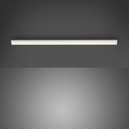 Paul Neuhaus 1125-21-A - LED Uitbreidingsarmatuur voor onderplafond AMON LED/6W/12/230V