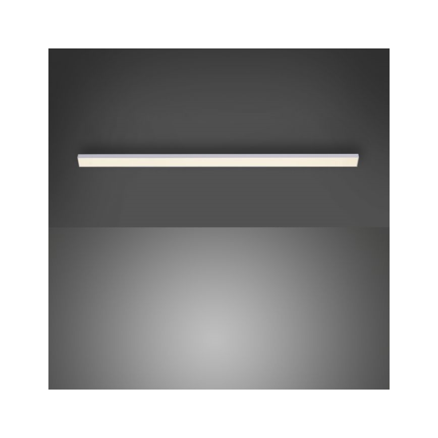 Paul Neuhaus 1125-21-A - LED Uitbreidingsarmatuur voor onderplafond AMON LED/6W/12/230V