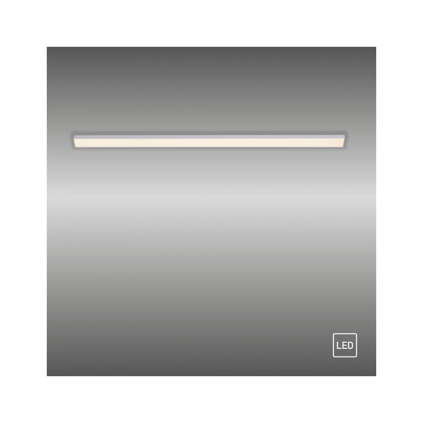 Paul Neuhaus 1125-21-A - LED Uitbreidingsarmatuur voor onderplafond AMON LED/6W/12/230V