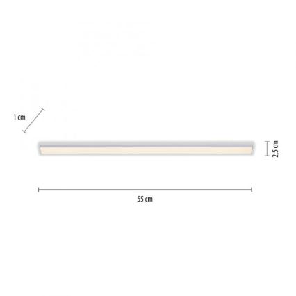 Paul Neuhaus 1125-21-A - LED Uitbreidingsarmatuur voor onderplafond AMON LED/6W/12/230V