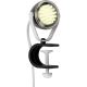 Paul Neuhaus 13073-18 - Lampe LED PODGY LED/2W/230V
