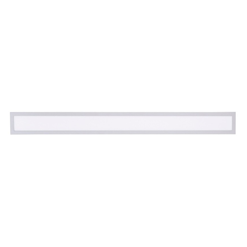 Paul Neuhaus 16537-16-O - Dimbaar LED Paneel voor Oppervlak Montage FLAT LED/21W/230V + afstandsbediening
