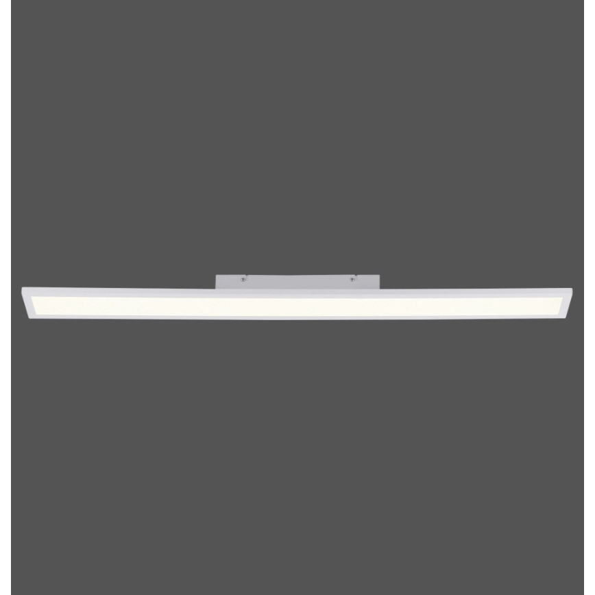 Paul Neuhaus 16537-16-O - Dimbaar LED Paneel voor Oppervlak Montage FLAT LED/21W/230V + afstandsbediening