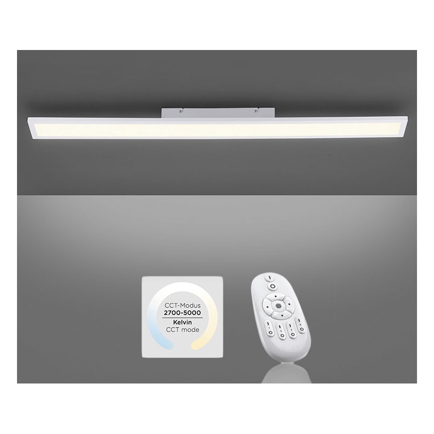 Paul Neuhaus 16537-16-O - Dimbaar LED Paneel voor Oppervlak Montage FLAT LED/21W/230V + afstandsbediening