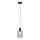 Paul Neuhaus 2006-25 - Hanglamp aan een koord BOLETUS 1xE27/10W/230V diameter 14 cm grijs