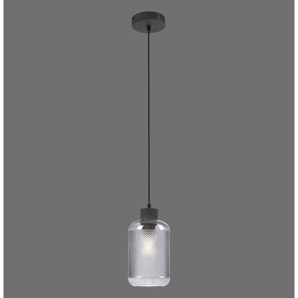 Paul Neuhaus 2006-25 - Hanglamp aan een koord BOLETUS 1xE27/10W/230V diameter 14 cm grijs