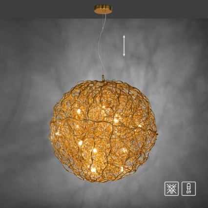 Paul Neuhaus 2019-12 - Hanglamp aan kabel SAREA 15xG9/40W/230V goudkleurig