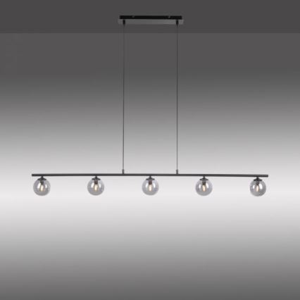 Paul Neuhaus 2026-18 - LED Hanglamp aan een koord WIDOW 5xG9/3W/230V
