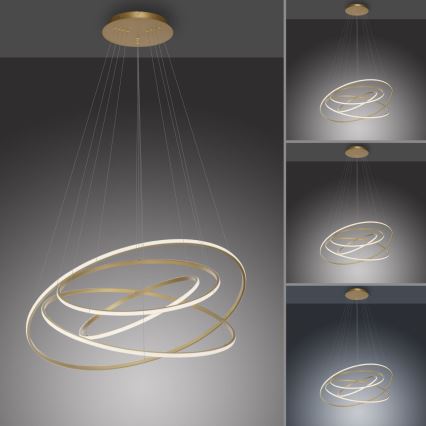 Paul Neuhaus 2124-60 - Dimbare LED hanglamp aan een koord TESSARA LED/97W/230V 2700-5000K + afstandsbediening
