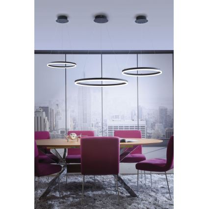 Paul Neuhaus 2381-13 - Dimbare LED Hanglamp aan een koord TITUS LED/28W/230V