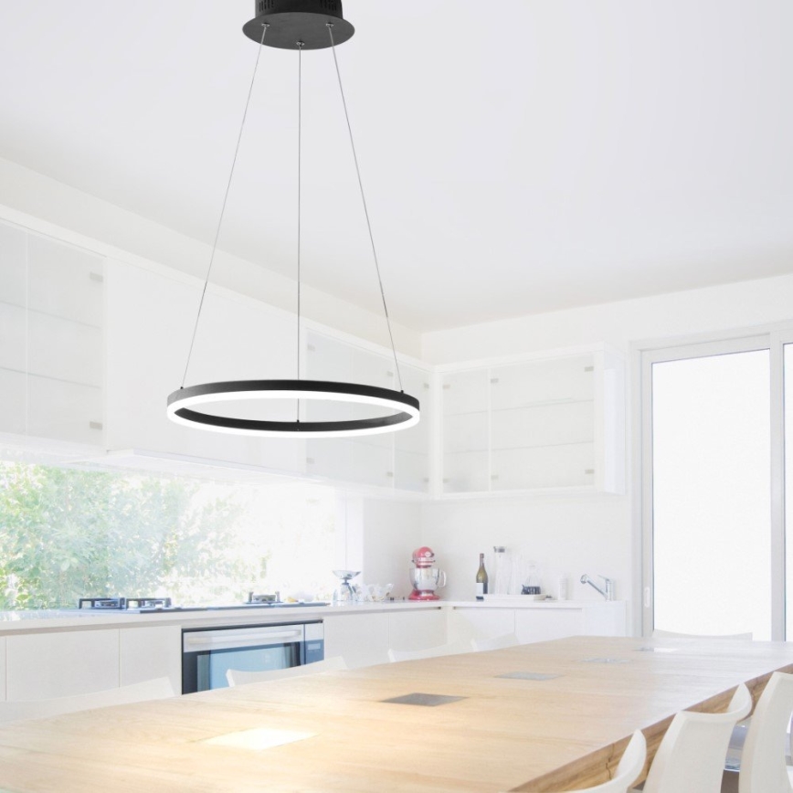 Paul Neuhaus 2381-13 - Dimbare LED Hanglamp aan een koord TITUS LED/28W/230V