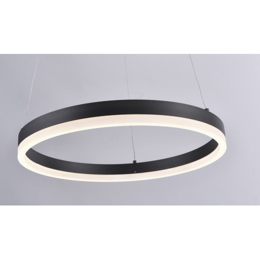 Paul Neuhaus 2381-13 - Dimbare LED Hanglamp aan een koord TITUS LED/28W/230V