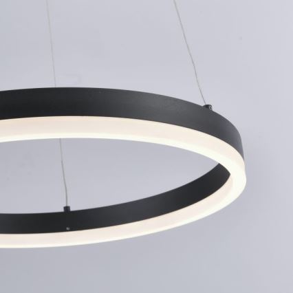 Paul Neuhaus 2381-13 - Dimbare LED Hanglamp aan een koord TITUS LED/28W/230V