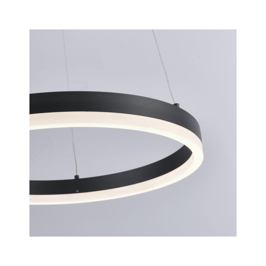 Paul Neuhaus 2381-13 - Dimbare LED Hanglamp aan een koord TITUS LED/28W/230V