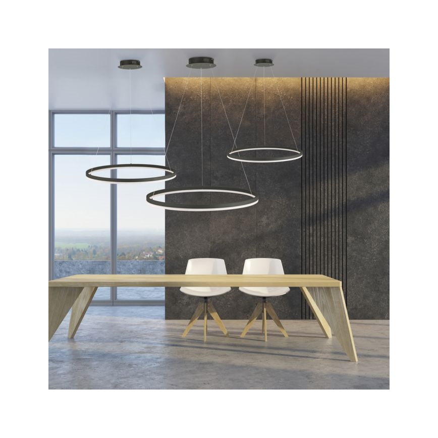 Paul Neuhaus 2383-13 - Dimbare LED Hanglamp aan een koord TITUS LED/50W/230V
