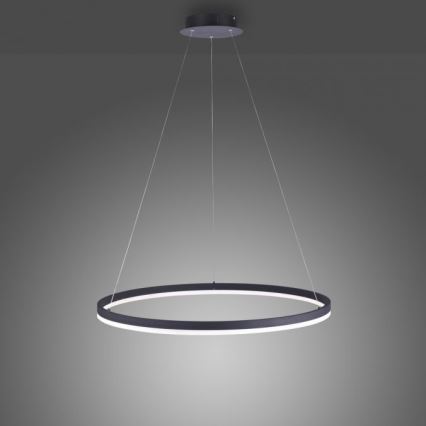 Paul Neuhaus 2383-13 - Dimbare LED Hanglamp aan een koord TITUS LED/50W/230V