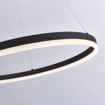 Paul Neuhaus 2383-13 - Dimbare LED Hanglamp aan een koord TITUS LED/50W/230V