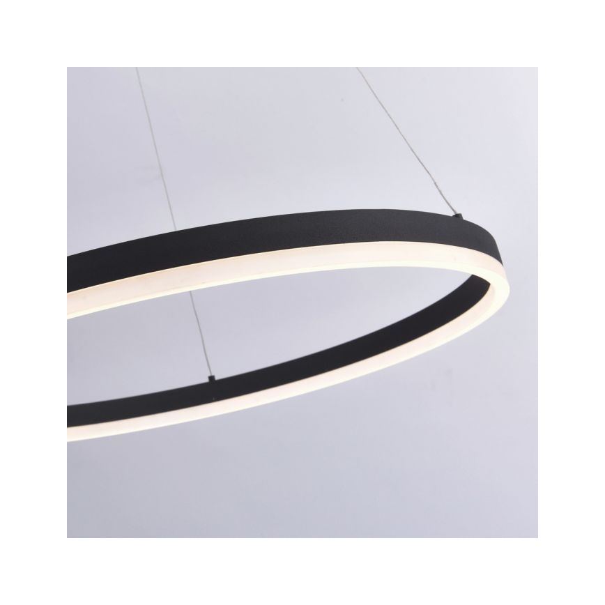 Paul Neuhaus 2383-13 - Dimbare LED Hanglamp aan een koord TITUS LED/50W/230V