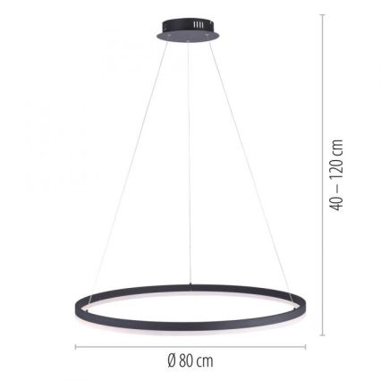 Paul Neuhaus 2383-13 - Dimbare LED Hanglamp aan een koord TITUS LED/50W/230V