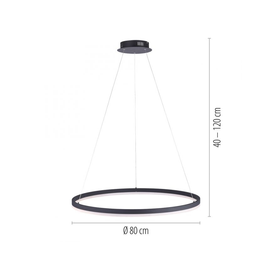 Paul Neuhaus 2383-13 - Dimbare LED Hanglamp aan een koord TITUS LED/50W/230V