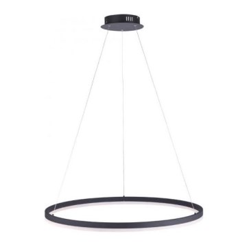 Paul Neuhaus 2383-13 - Suspension filaire LED à intensité variable TITUS LED/50W/230V