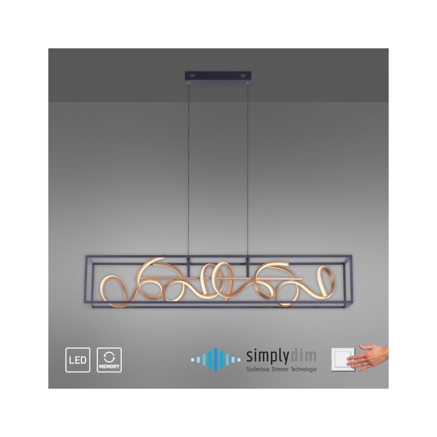 Paul Neuhaus 2416-18 - Lustre dimmable LED avec fil SELINA 4xLED/10,2W/230V