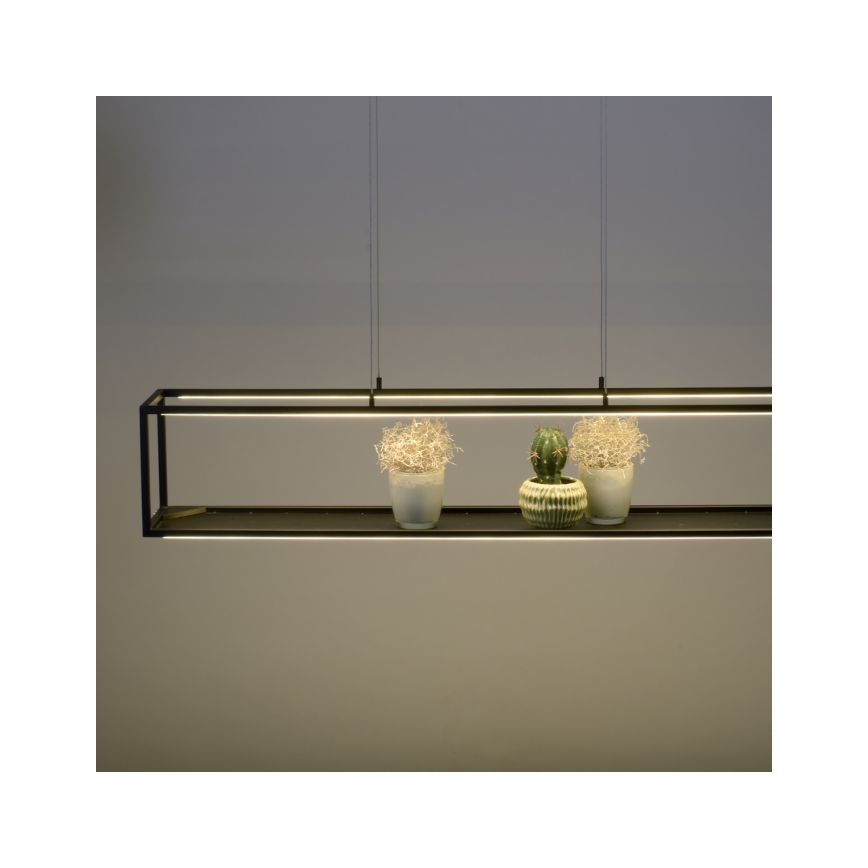 Paul Neuhaus 2441-18 - LED dimbare hanglamp aan een touwtje CONTURA 4xLED/8W/230V