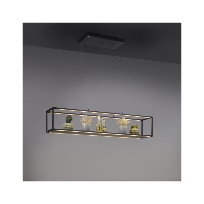 Paul Neuhaus 2441-18 - LED dimbare hanglamp aan een touwtje CONTURA 4xLED/8W/230V