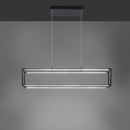 Paul Neuhaus 2441-18 - Suspension filaire à intensité variable CONTURA 4xLED/8W/230V