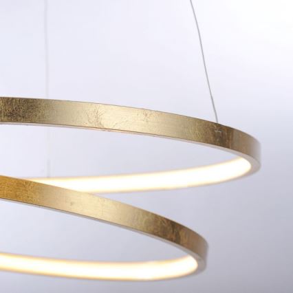 Paul Neuhaus 2472-12 - Dimbare LED Hanglamp aan een koord ROMAN LED/30W/230V goud