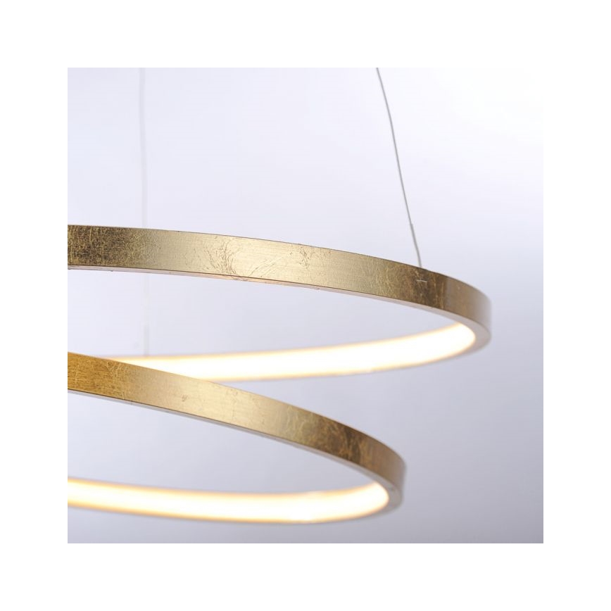 Paul Neuhaus 2472-12 - Dimbare LED Hanglamp aan een koord ROMAN LED/30W/230V goud