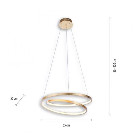 Paul Neuhaus 2472-12 - Dimbare LED Hanglamp aan een koord ROMAN LED/30W/230V goud