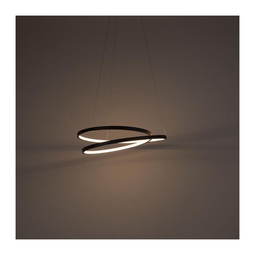 Paul Neuhaus 2472-18 - Dimbare LED Hanglamp aan een koord ROMAN LED/30W/230V zwart