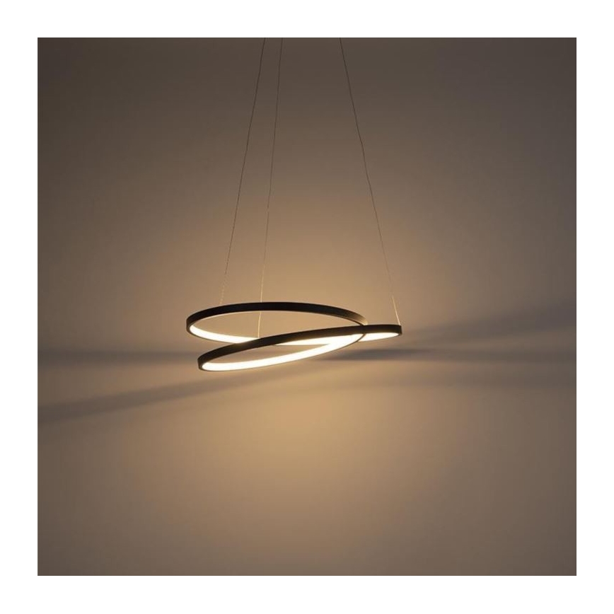 Paul Neuhaus 2472-18 - Dimbare LED Hanglamp aan een koord ROMAN LED/30W/230V zwart