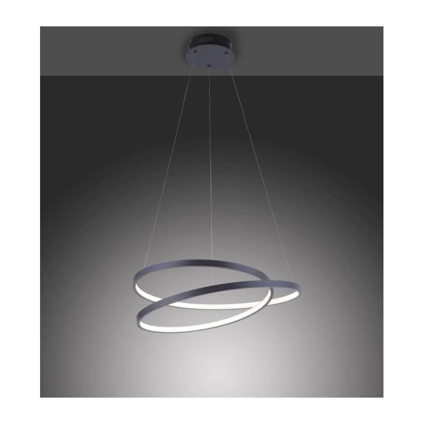 Paul Neuhaus 2472-18 - Dimbare LED Hanglamp aan een koord ROMAN LED/30W/230V zwart