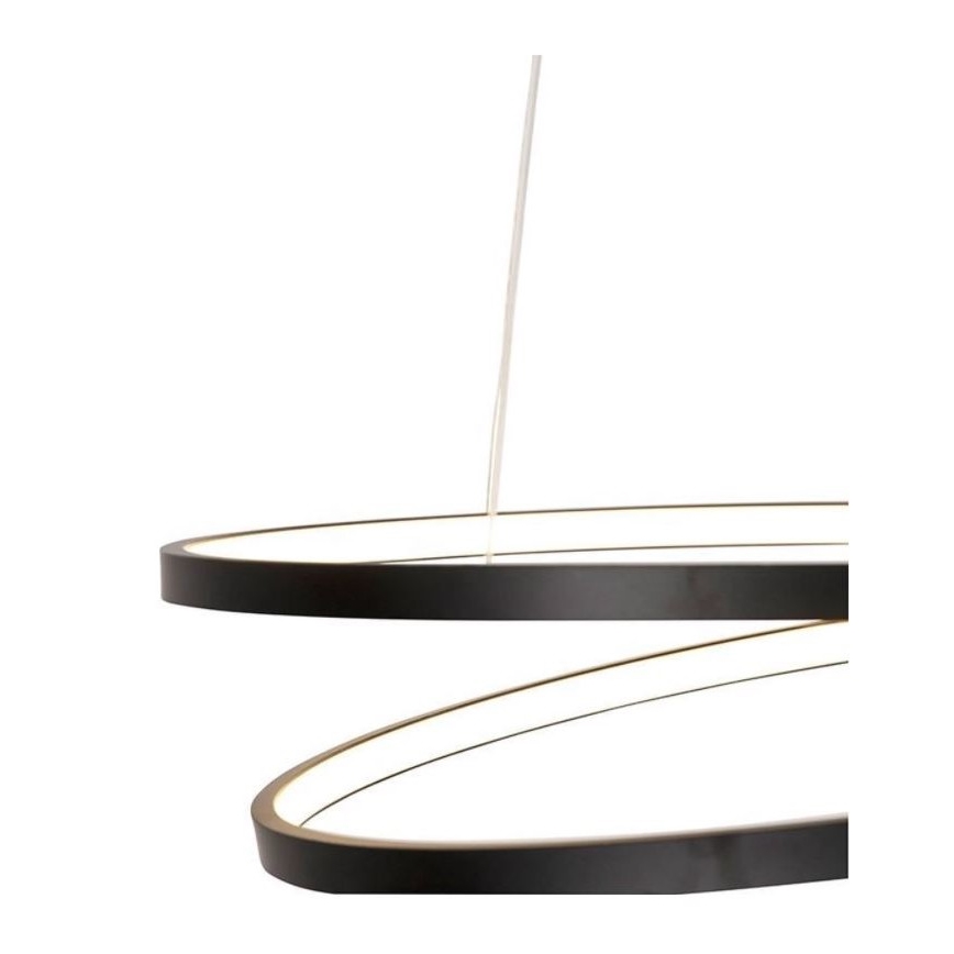 Paul Neuhaus 2472-18 - Suspension filaire LED à intensité variable ROMAN LED/30W/230V noire
