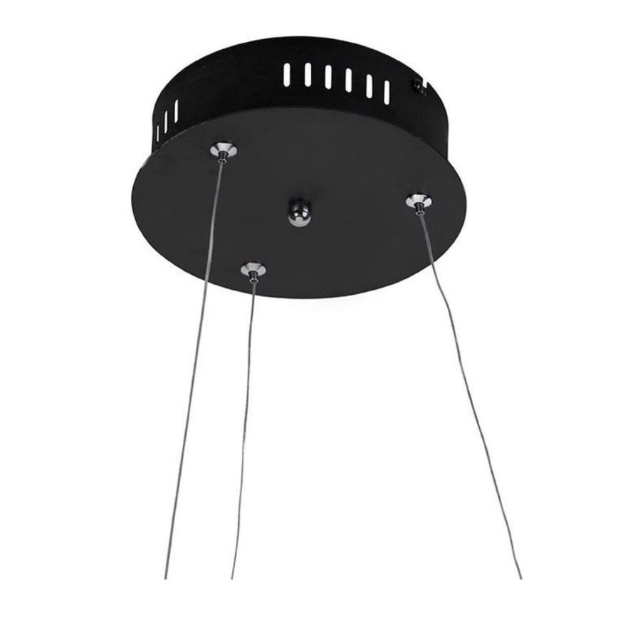 Paul Neuhaus 2472-18 - Suspension filaire LED à intensité variable ROMAN LED/30W/230V noire