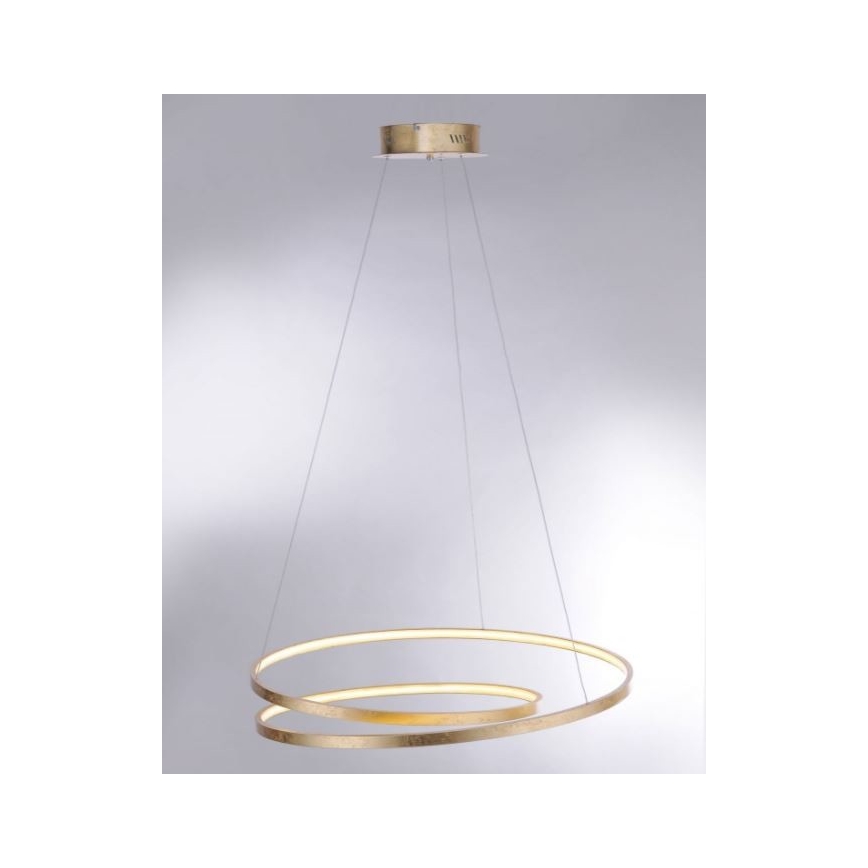 Paul Neuhaus 2474-12 - Dimbare LED Hanglamp aan een koord ROMAN LED/40W/230V goud