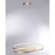 Paul Neuhaus 2474-12 - Suspension filaire LED à intensité variable ROMAN LED/40W/230V doré