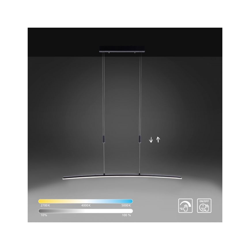Paul Neuhaus 2530-13 - Dimbare LED  Hanglamp aan een koord JANINA LED/27W/230V