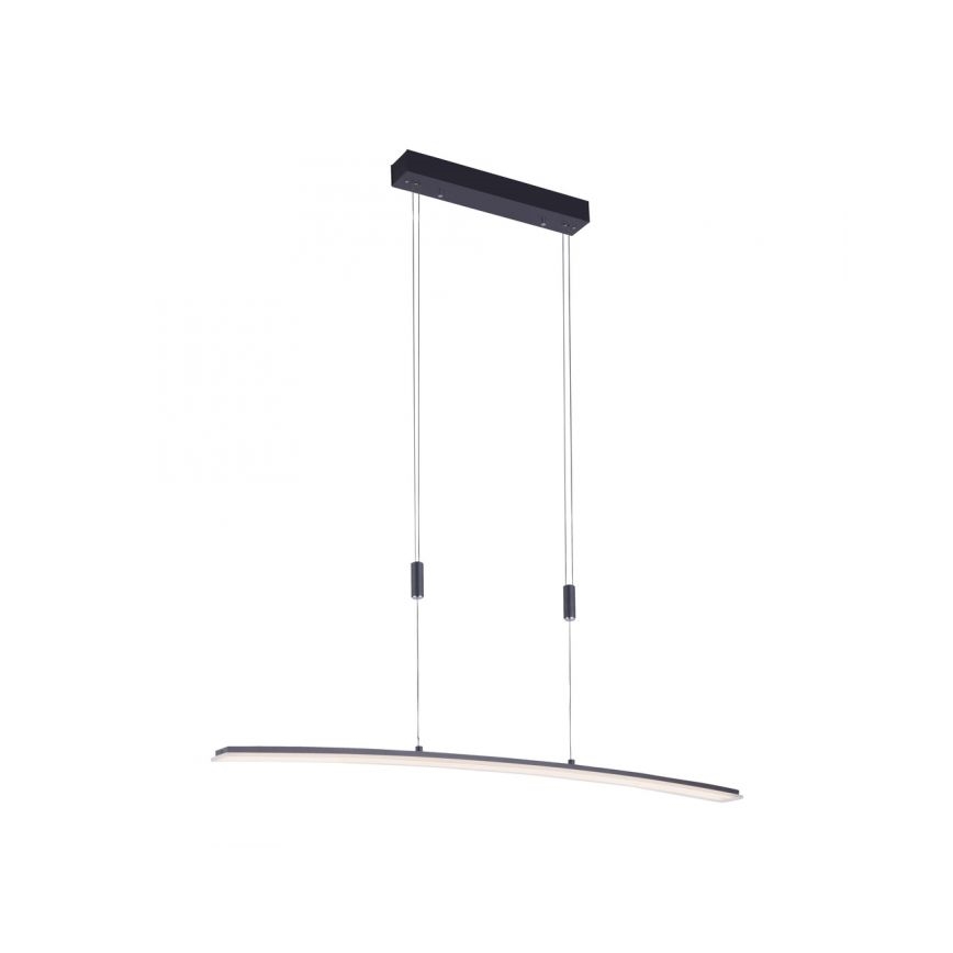 Paul Neuhaus 2530-13 - Dimbare LED  Hanglamp aan een koord JANINA LED/27W/230V