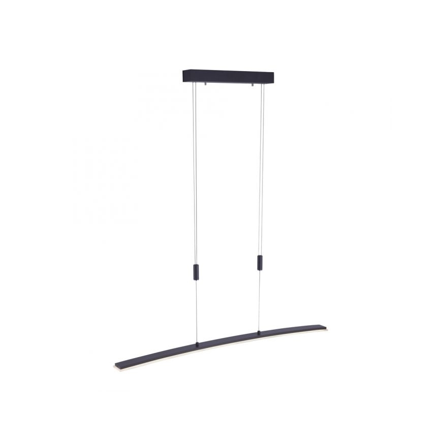 Paul Neuhaus 2530-13 - Dimbare LED  Hanglamp aan een koord JANINA LED/27W/230V