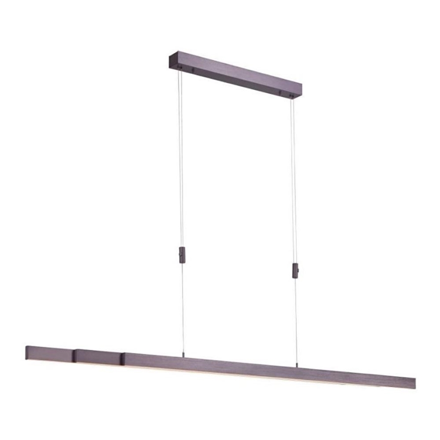 Paul Neuhaus 2568-24 - Dimbare LED hanglamp aan een koord ADRIANA LED/14W/230V 2700-5000K