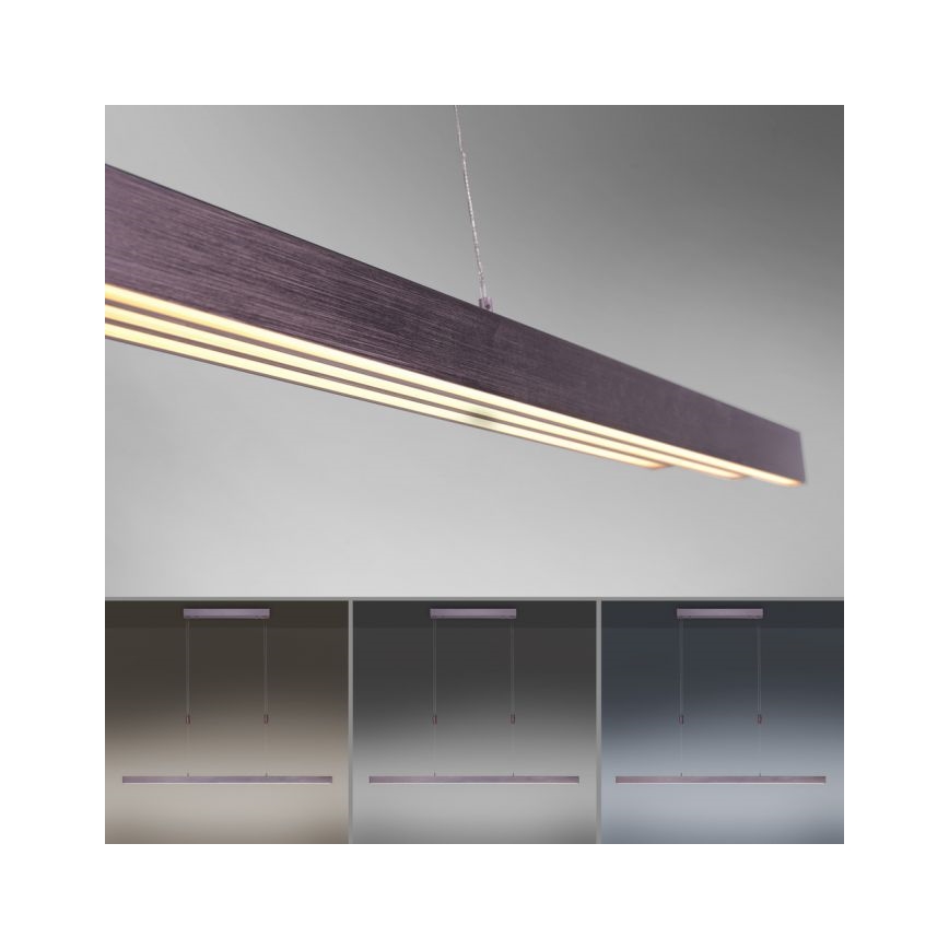 Paul Neuhaus 2568-24 - Suspension filaire à intensité variable ADRIANA LED/14W/230V 2700-5000K